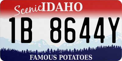 ID license plate 1B8644Y