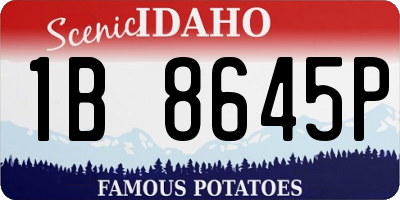 ID license plate 1B8645P
