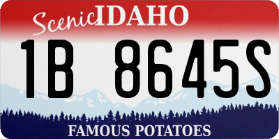 ID license plate 1B8645S