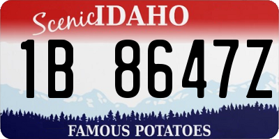 ID license plate 1B8647Z