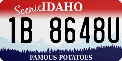 ID license plate 1B8648U