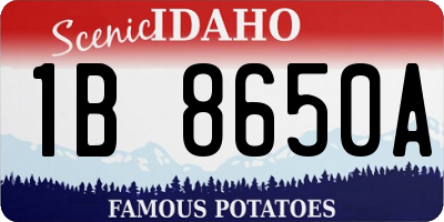 ID license plate 1B8650A