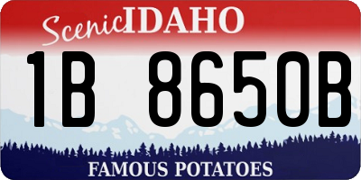 ID license plate 1B8650B