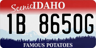 ID license plate 1B8650G