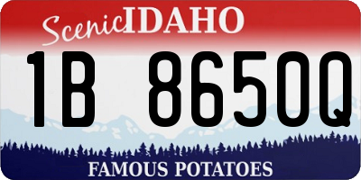 ID license plate 1B8650Q