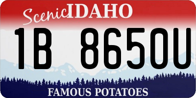 ID license plate 1B8650U