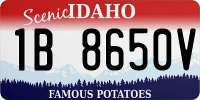 ID license plate 1B8650V