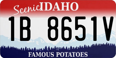 ID license plate 1B8651V