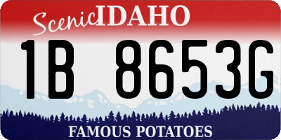 ID license plate 1B8653G