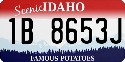 ID license plate 1B8653J