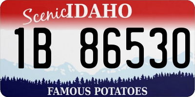 ID license plate 1B8653O