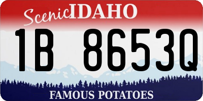 ID license plate 1B8653Q