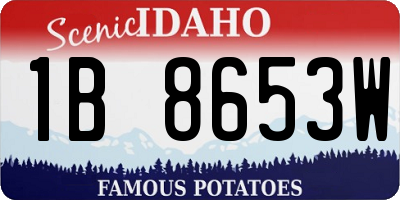 ID license plate 1B8653W
