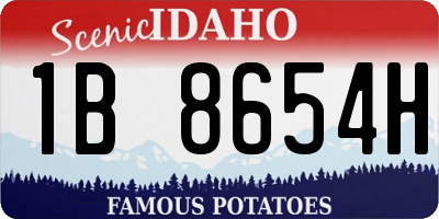 ID license plate 1B8654H