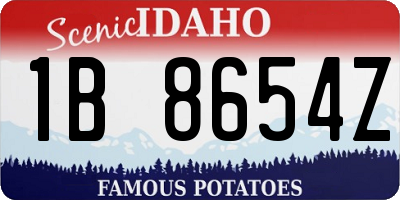 ID license plate 1B8654Z