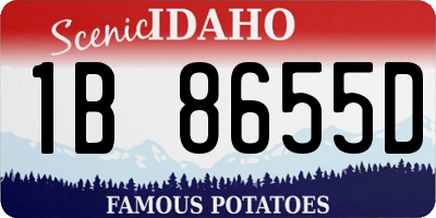 ID license plate 1B8655D
