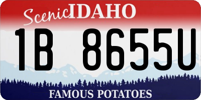 ID license plate 1B8655U