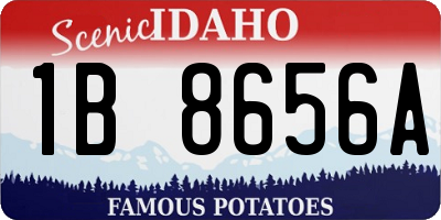 ID license plate 1B8656A