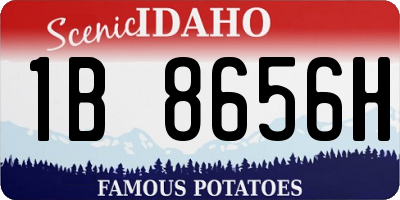 ID license plate 1B8656H
