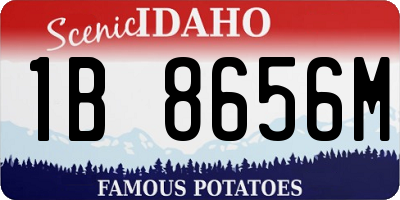ID license plate 1B8656M