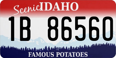 ID license plate 1B8656O