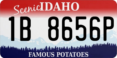ID license plate 1B8656P