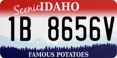 ID license plate 1B8656V