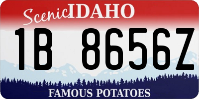 ID license plate 1B8656Z