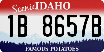 ID license plate 1B8657B