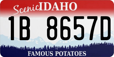 ID license plate 1B8657D