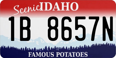 ID license plate 1B8657N