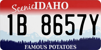 ID license plate 1B8657Y