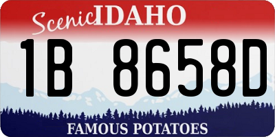 ID license plate 1B8658D