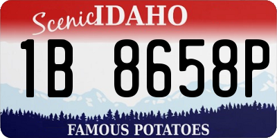 ID license plate 1B8658P