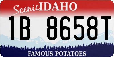 ID license plate 1B8658T