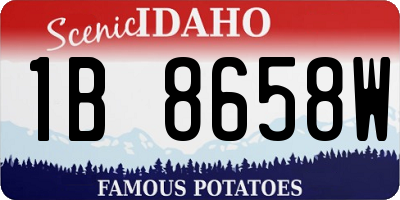 ID license plate 1B8658W