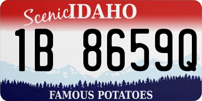 ID license plate 1B8659Q