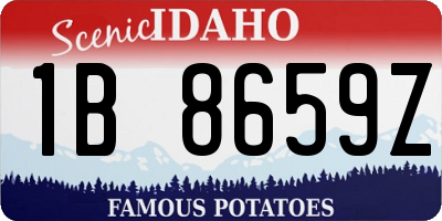 ID license plate 1B8659Z
