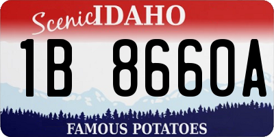 ID license plate 1B8660A