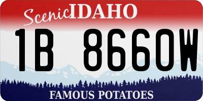 ID license plate 1B8660W