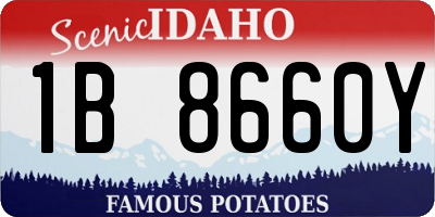 ID license plate 1B8660Y