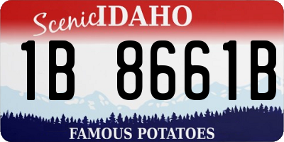 ID license plate 1B8661B
