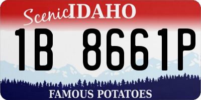 ID license plate 1B8661P