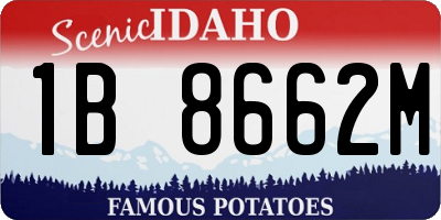 ID license plate 1B8662M