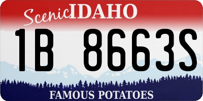 ID license plate 1B8663S