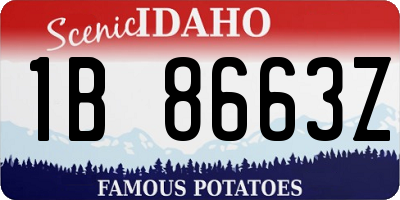 ID license plate 1B8663Z