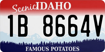 ID license plate 1B8664V