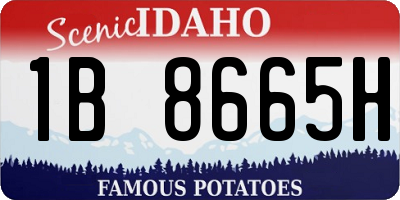ID license plate 1B8665H