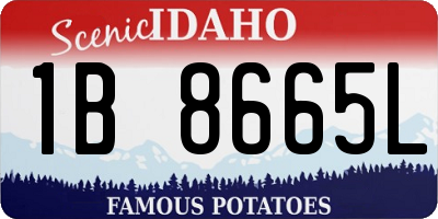 ID license plate 1B8665L