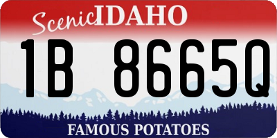ID license plate 1B8665Q